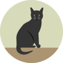 animals,spooky,scary,halloween,horror,terror,fear,black cat,frightening